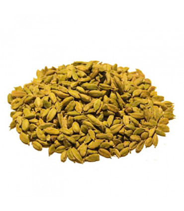 Graine de cardamome verte
